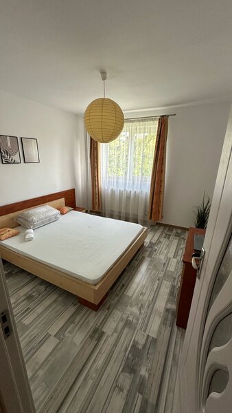 Drumul Taberei, Favorit,